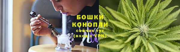соль ск Кулебаки