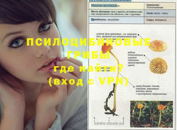 MESCALINE Кукмор
