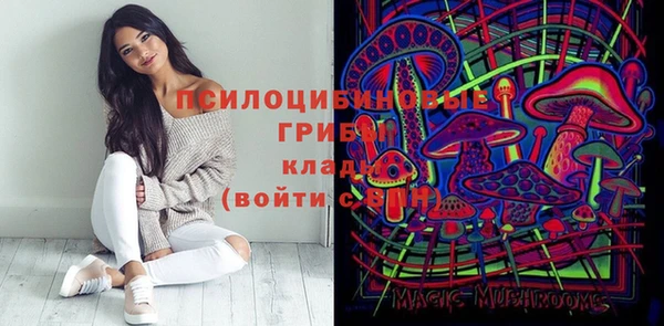 соль ск Кулебаки