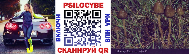 Купить  Ясногорск  Псилоцибиновые грибы Psilocybe 